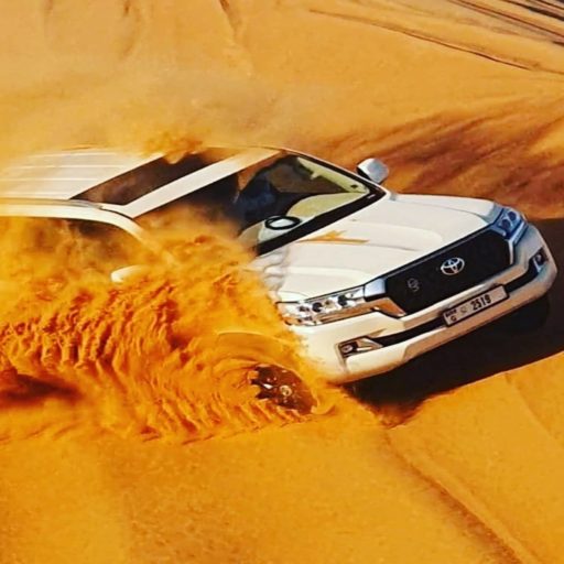 Read more about the article The Adventure of Desert Safari Tour Dubai