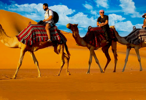 Read more about the article How To Have A Memorable Dubai Desert Safari Tour!