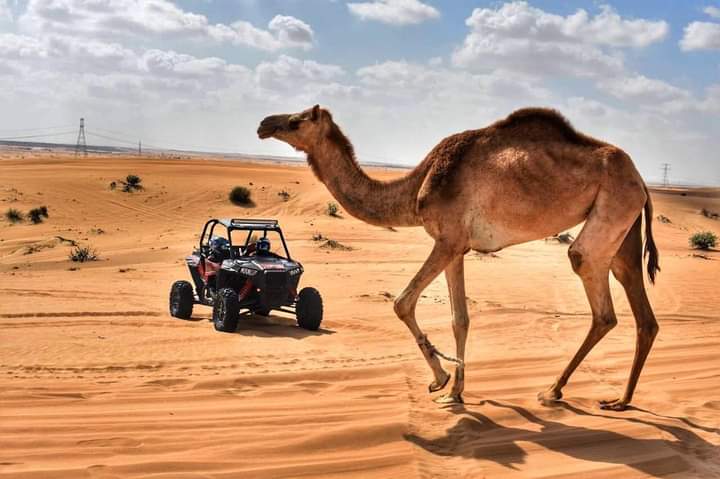 dubai-desert-safari-fun